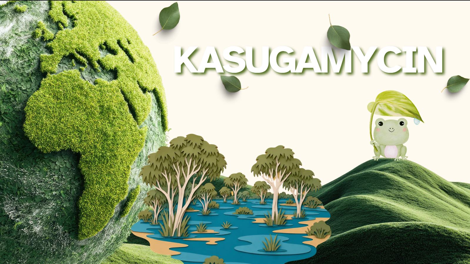 SỬ DỤNG HOẠT CHẤT KASUGAMYCIN TRONG 3 THÁNG CUỐI NĂM (THÁNG 10, 11, 12) MỘT CÁCH HỢP LÝ TRONG NÔNG NGHIỆP